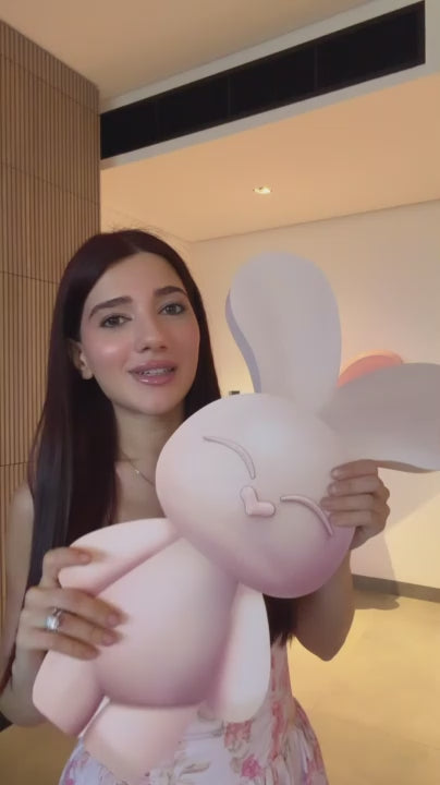 BUN BUN MINI BUNNY BOX