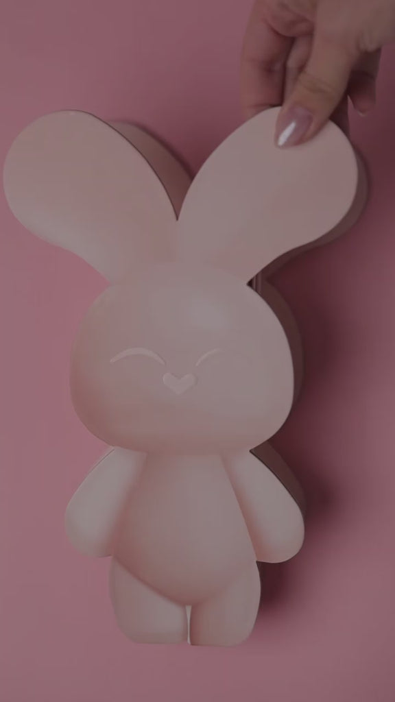 BUN BUN MINI BUNNY BOX